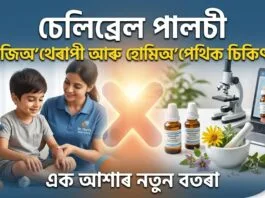 চেলিব্ৰেল-পালচী