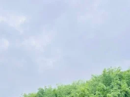 কবিতা